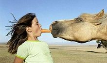 最搞笑的句子大全：看过了那么多猪，还是你最可爱