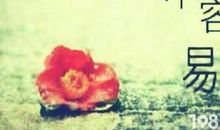 描写善良的句子