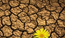 简短的励志名言：一花凋零，荒芜不了整个春天