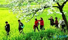 描写春游的句子60句