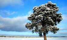 周末降温下雪短信问候