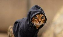 经典幽默语录：你不要挑战我的底线，否则我又要修改底线了