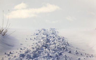 你的心永远不会再感动你