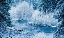 ktv发给客人问候短信