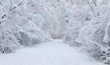 早晨给情人的问候短信