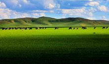 感恩父母的句子催泪