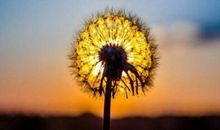 2019经典语录说说