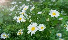 很忙但是开心的句子