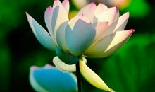 一句话打动人心的经典句子