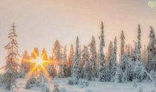 经典生活感悟说说