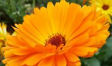 午后开心的句子