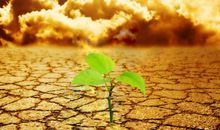 适合发朋友圈心碎的句子