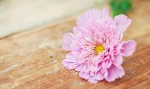 适合物业疫情期间发朋友圈的一句话