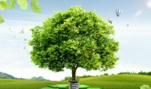 有关环保植树的标语