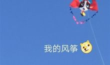 带孩子放风筝的朋友圈说说