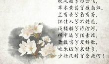 写出描写秋景的诗句