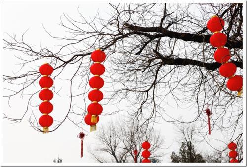 欢迎来到新年和新年的新气象