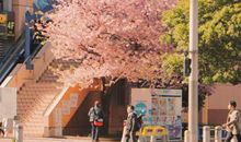 三观超正的心灵鸡汤 很励志的正能量句子