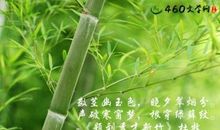 关于描写竹子的句子