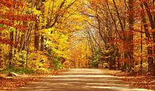 心烦不想说话的说说句子