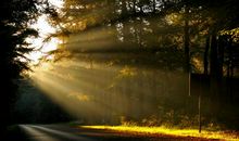 可以让人超开心的搞笑句子