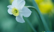 世界上最感人的经典的一句话