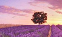 适合发到抖音的经典句子