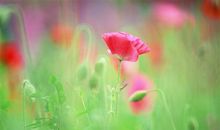 难过造句子一年级下册