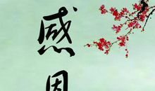 代表懂感恩的句子