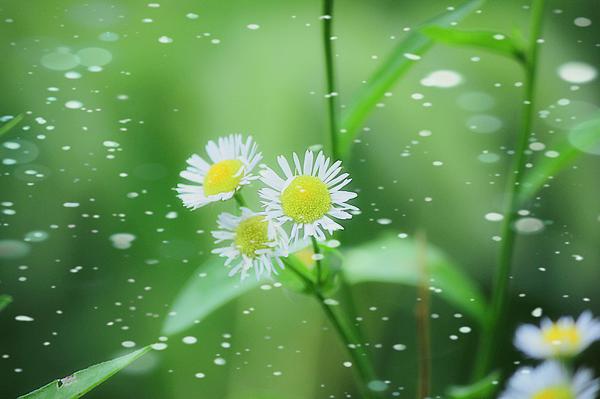 阴雨天气是个麻烦的天气