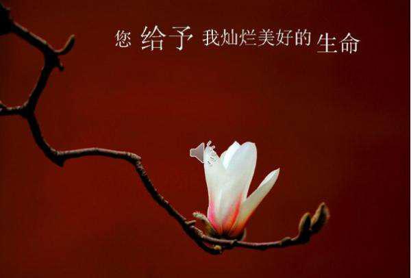 忘恩负义是大恶