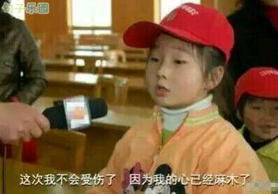 到处都是狼在吃东西