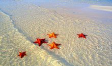 励志语录经典短句