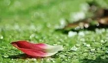 一句佛语点透人生