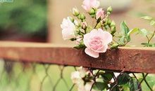 二十句话穿透人心：谁不是一边热爱生活又一边不想活