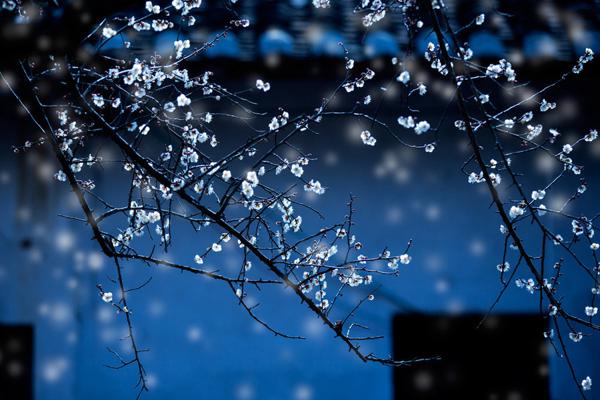 像丝绸一样的小雨从天上掉下来