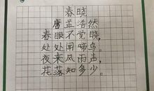 描写雨后美景的诗句