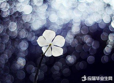 甚至是逆境