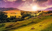 抗衡心烦的句子