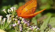 秋天给客户的问候短信