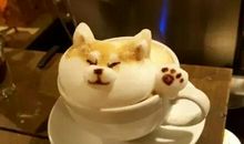 骂人的说说秒杀对方 骂人最狠的话不带脏字