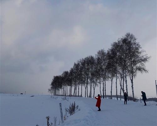 我喜欢下雪天