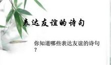 表达友情的优美诗句
