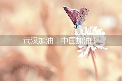 帮助武汉