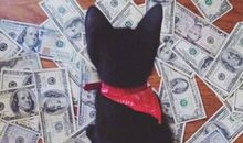 发朋友圈的开心的句子