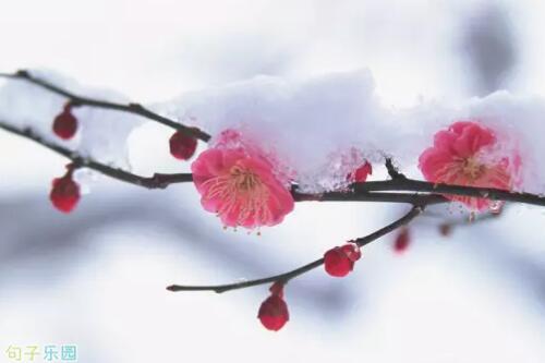下雪了