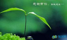 关于感谢朋友关心的句子