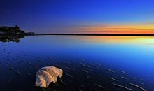 心烦一个人的句子说说心情