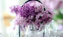 关于恐婚的心情说说 表达自己恐婚的说说