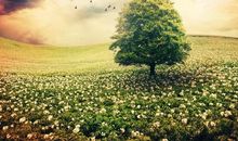 下雨心烦句子说说心情